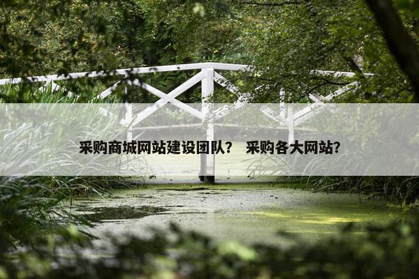采购商城网站建设团队？ 采购各大网站？