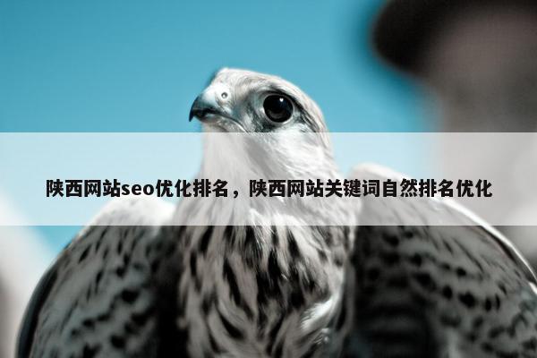 陕西网站seo优化排名，陕西网站关键词自然排名优化