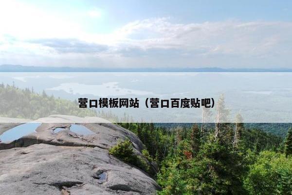 营口模板网站（营口百度贴吧）