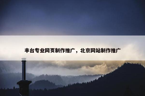 丰台专业网页制作推广，北京网站制作推广