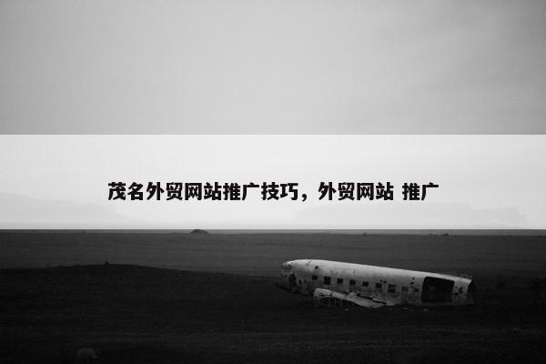 茂名外贸网站推广技巧，外贸网站 推广