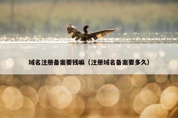 域名注册备案要钱嘛（注册域名备案要多久）