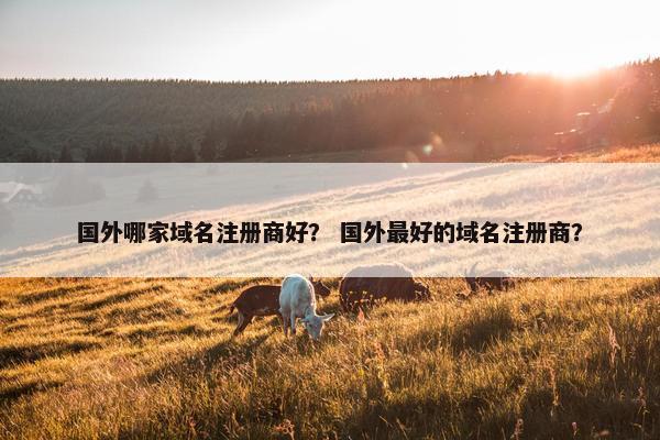 国外哪家域名注册商好？ 国外最好的域名注册商？