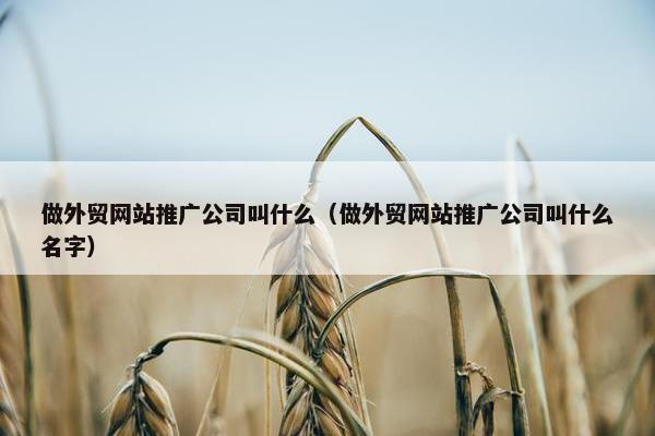 做外贸网站推广公司叫什么（做外贸网站推广公司叫什么名字）