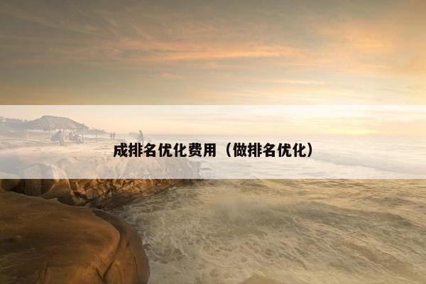 成排名优化费用（做排名优化）