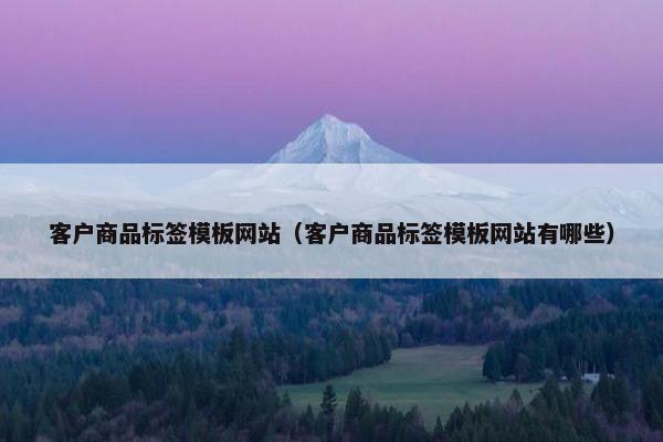 客户商品标签模板网站（客户商品标签模板网站有哪些）