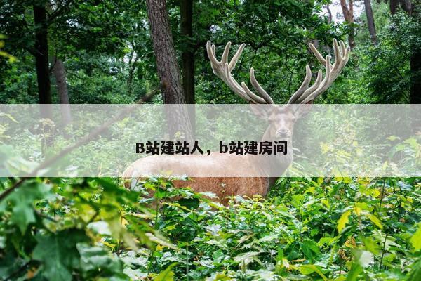 B站建站人，b站建房间