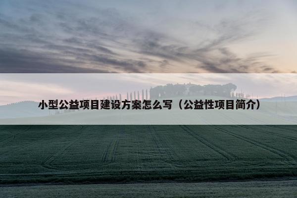 小型公益项目建设方案怎么写（公益性项目简介）
