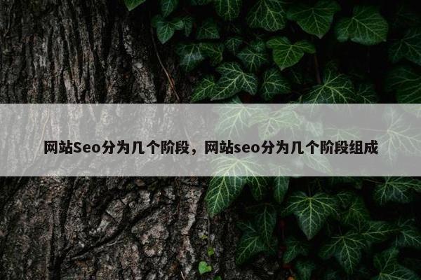 网站Seo分为几个阶段，网站seo分为几个阶段组成