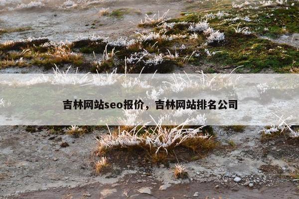 吉林网站seo报价，吉林网站排名公司