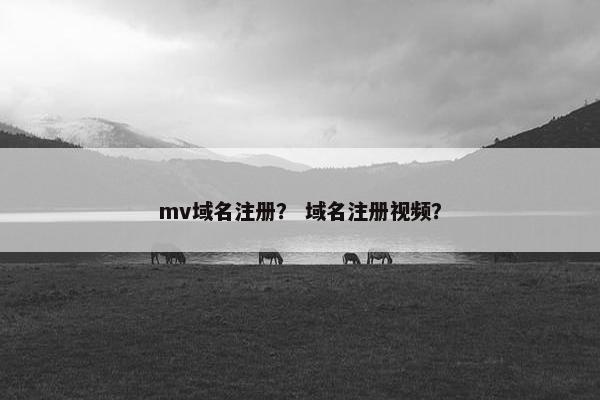 mv域名注册？ 域名注册视频？