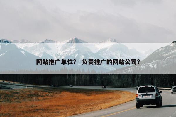 网站推广单位？ 负责推广的网站公司？