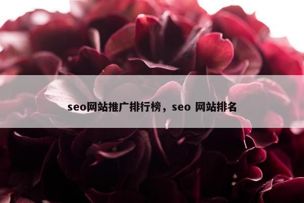 seo网站推广排行榜，seo 网站排名