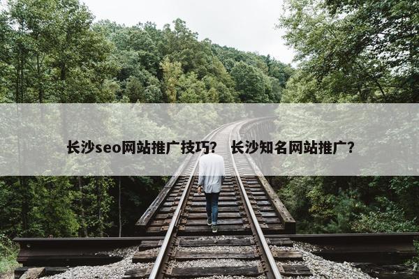 长沙seo网站推广技巧？ 长沙知名网站推广？