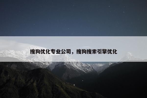 搜狗优化专业公司，搜狗搜索引擎优化