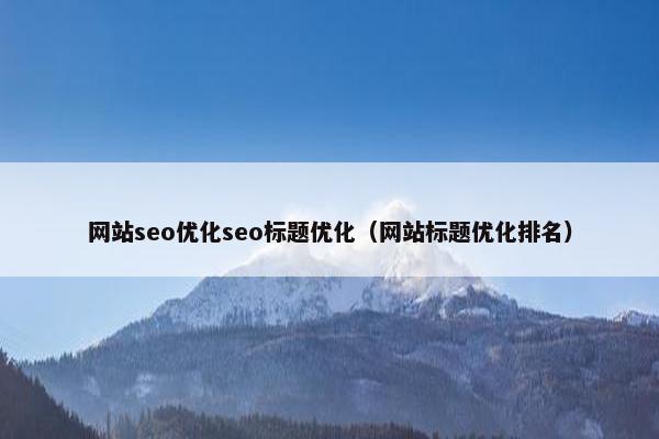 网站seo优化seo标题优化（网站标题优化排名）