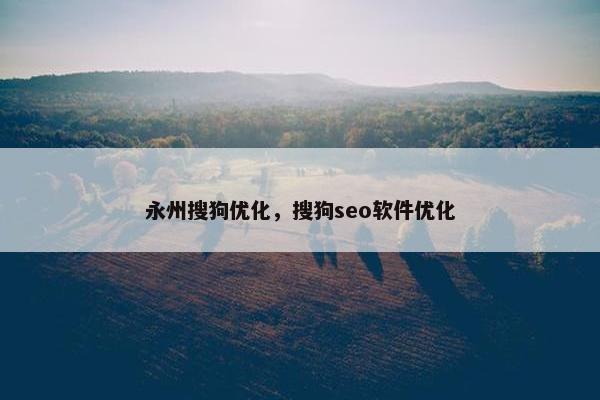 永州搜狗优化，搜狗seo软件优化
