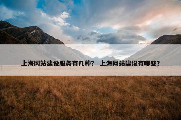 上海网站建设服务有几种？ 上海网站建设有哪些？