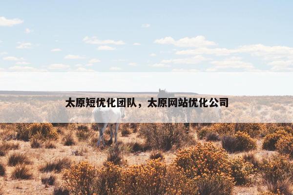 太原短优化团队，太原网站优化公司