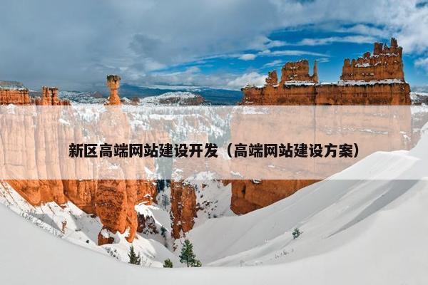新区高端网站建设开发（高端网站建设方案）