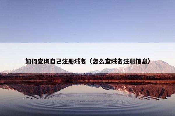 如何查询自己注册域名（怎么查域名注册信息）
