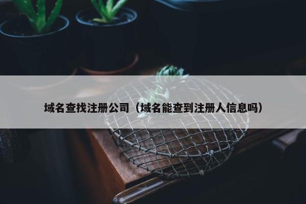域名查找注册公司（域名能查到注册人信息吗）