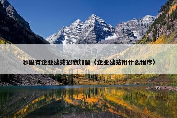 哪里有企业建站招商加盟（企业建站用什么程序）