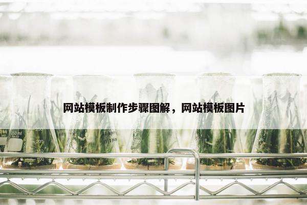 网站模板制作步骤图解，网站模板图片