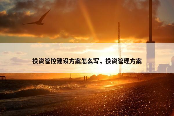投资管控建设方案怎么写，投资管理方案