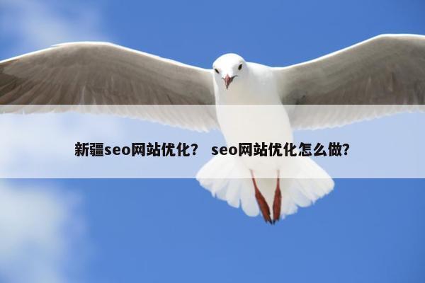 新疆seo网站优化？ seo网站优化怎么做？