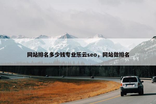 网站排名多少钱专业乐云seo，网站做排名