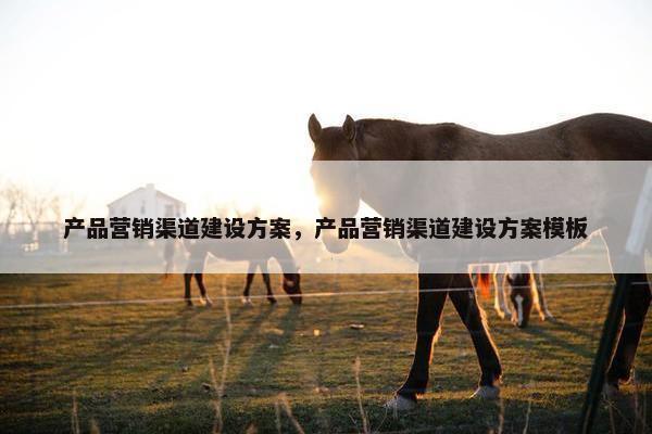 产品营销渠道建设方案，产品营销渠道建设方案模板