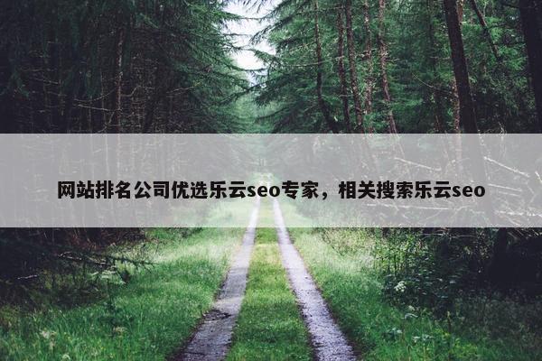 网站排名公司优选乐云seo专家，相关搜索乐云seo