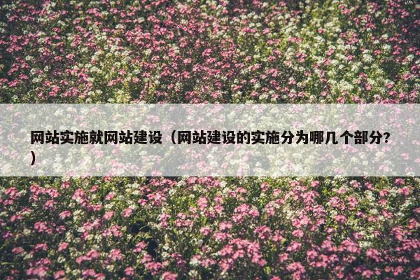 网站实施就网站建设（网站建设的实施分为哪几个部分?）
