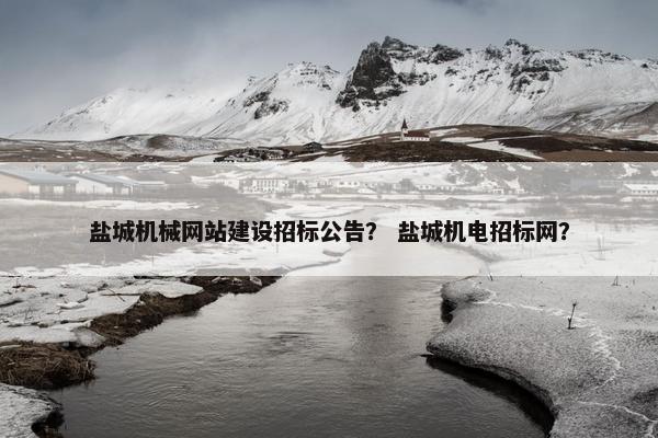 盐城机械网站建设招标公告？ 盐城机电招标网？