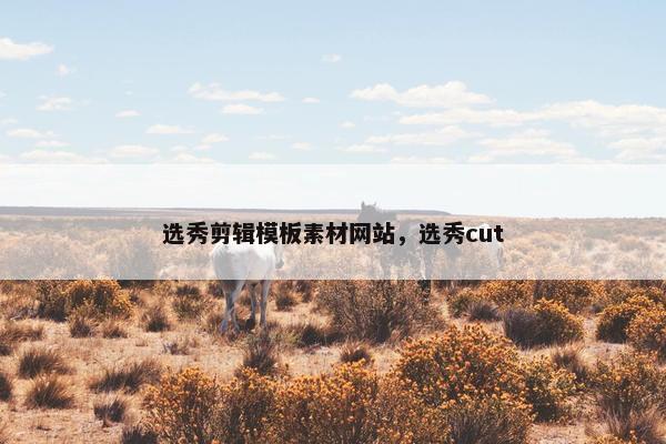 选秀剪辑模板素材网站，选秀cut