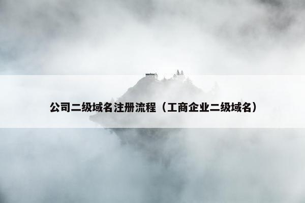 公司二级域名注册流程（工商企业二级域名）