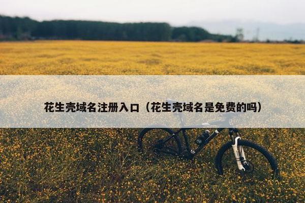 花生壳域名注册入口（花生壳域名是免费的吗）