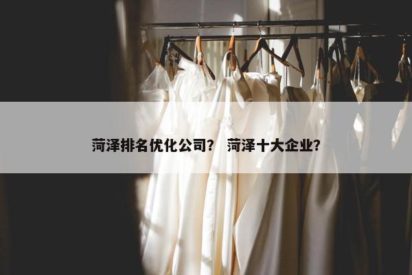 菏泽排名优化公司？ 菏泽十大企业？