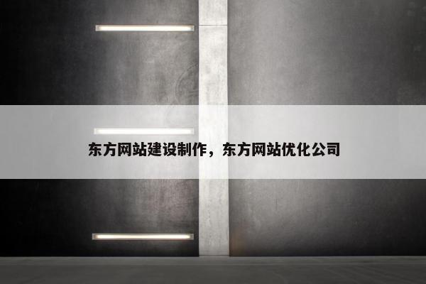 东方网站建设制作，东方网站优化公司