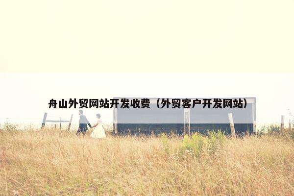 舟山外贸网站开发收费（外贸客户开发网站）