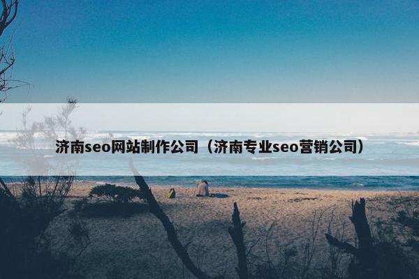 济南seo网站制作公司（济南专业seo营销公司）