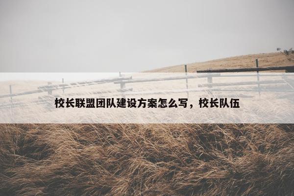 校长联盟团队建设方案怎么写，校长队伍