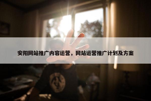 安阳网站推广内容运营，网站运营推广计划及方案
