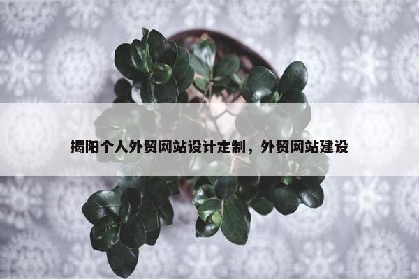揭阳个人外贸网站设计定制，外贸网站建设