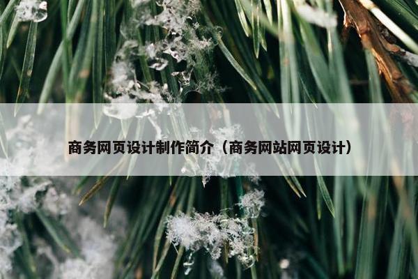 商务网页设计制作简介（商务网站网页设计）