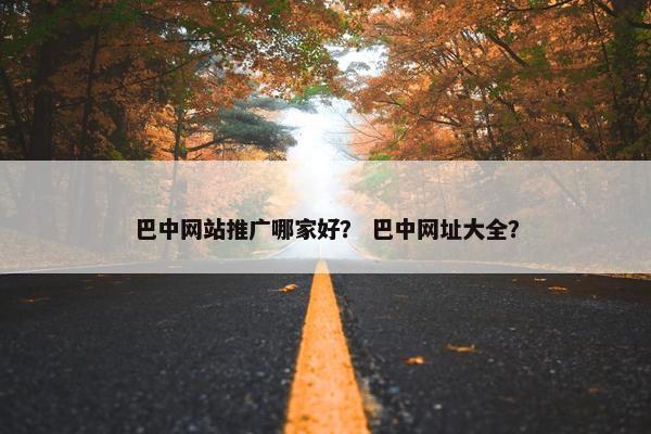 巴中网站推广哪家好？ 巴中网址大全？