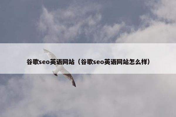 谷歌seo英语网站（谷歌seo英语网站怎么样）