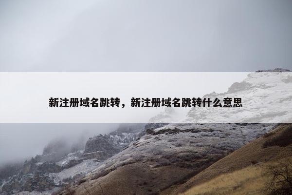 新注册域名跳转，新注册域名跳转什么意思