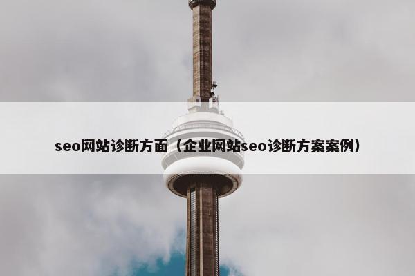 seo网站诊断方面（企业网站seo诊断方案案例）